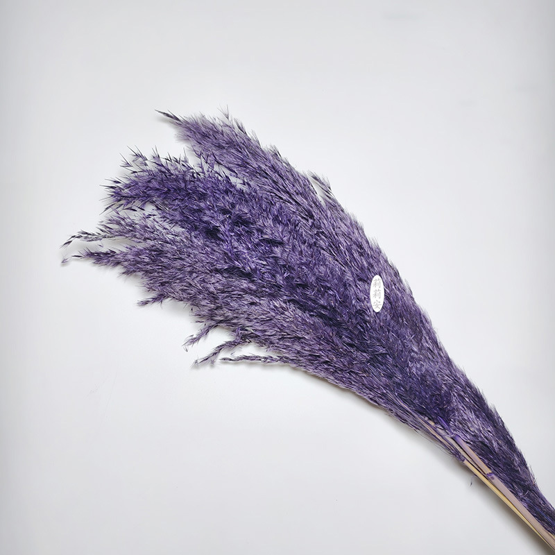 보라색(5개/묶음)