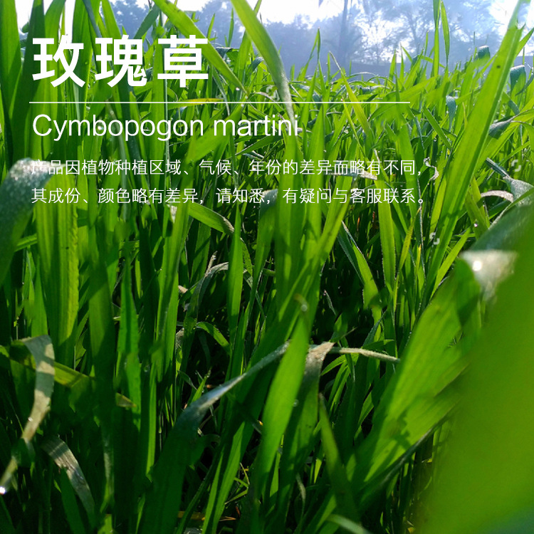 ��Ʒ5ml/ƿ õ���  õ��ݾ���С����Ӧ ��ӭ��ѯ�������