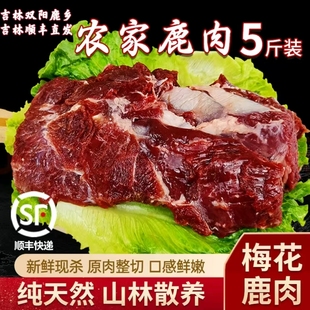 ���ږ|������¹�l�خa���r��¹���r��ɢ�B�Բ���¹����¹�����r