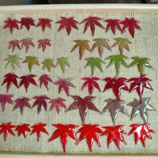 ���~�ɻ�����~�ֹ����z�ɻ��������h�����DIY���Ʒ��Ȧ���l