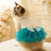 F؛羳С؈·SֱN{`ȹ