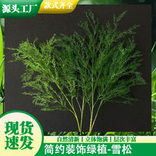 加密芦荀草雪松绿荀草打底吊顶门店橱窗森系婚礼摄影装饰仿真绿植