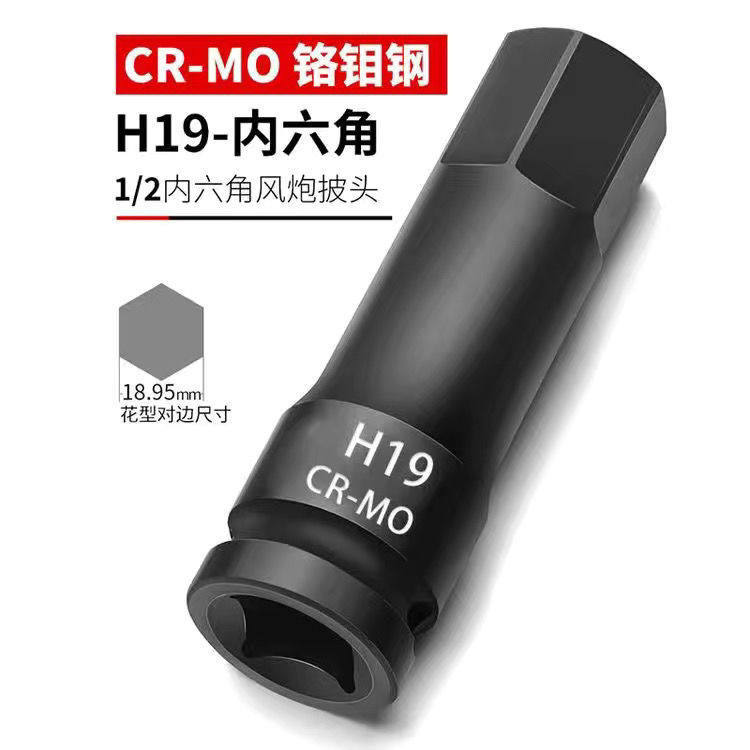 H19