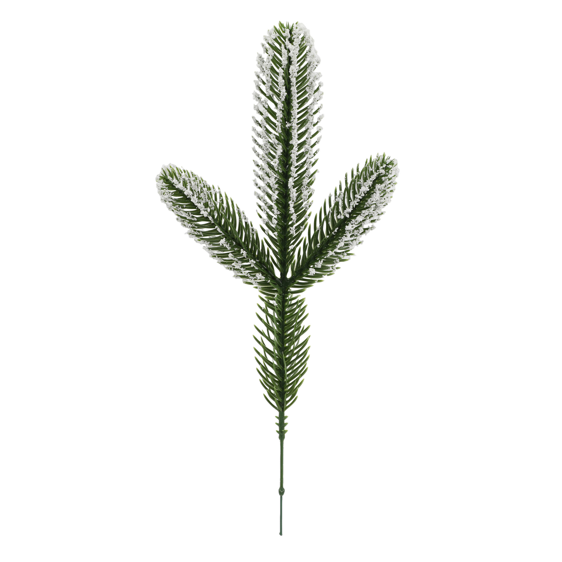 Three-pronged pine needles plus foam--035