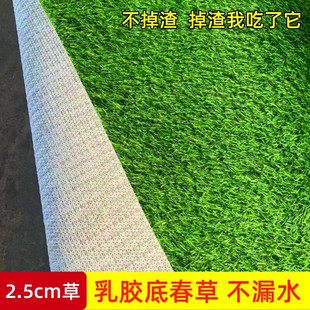 Simulated Lawn Fake Turf Floor Mat Balcony Decoration Artificial Artificial Outdoor Plastic Kindergarten Green Grass Carpet
