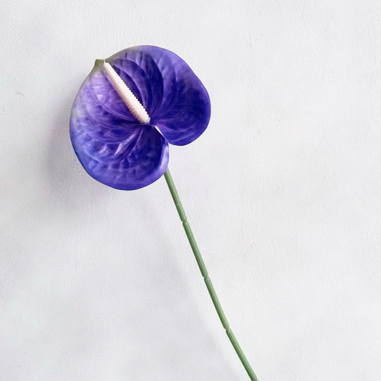 보라색