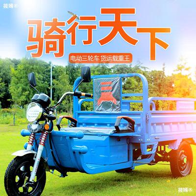 new pattern Electric Tricycle truck Load King adult Agriculture a storage battery car household Express Car Freight Tricycle