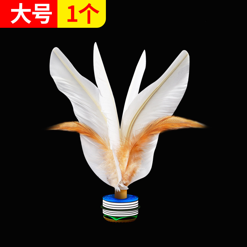 はねの子の小学生の幼稚園ははねの子の鶏の毛の腱を蹴ります。|undefined