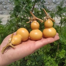 �S��ֱ�N��Ȼ���J �����������J �������С���J ���J��ˇƷ���l