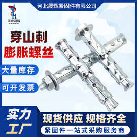 穿山刺膨胀螺丝多孔空心砖气泡砖专用膨胀螺栓鱼鳞外拉爆倒刺膨胀