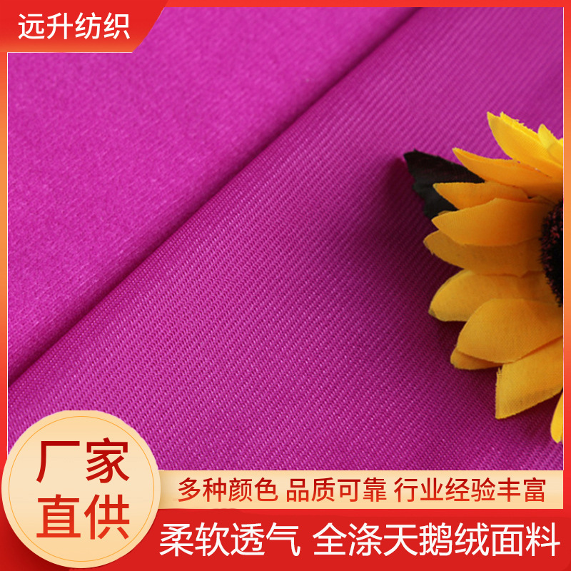 Single-Sided Brushed Fabric with Black and White Edges, Warp Knitted Edge Fabric, Clothing and Home Textiles, Ultra-Fine Polyester Velvet Fabric