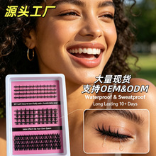 �羳���Q��W���Լ޽ӆδ؟�����Ȼmanga lash �������ֶμٽ�ë