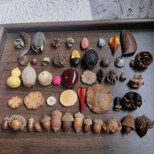 ׎ᔹlѪNޱɹȻֲșֹ