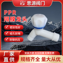 厂家4分6分PPR加厚大流量塑料水龙头 工程家用红蓝冷热塑胶水龙头
