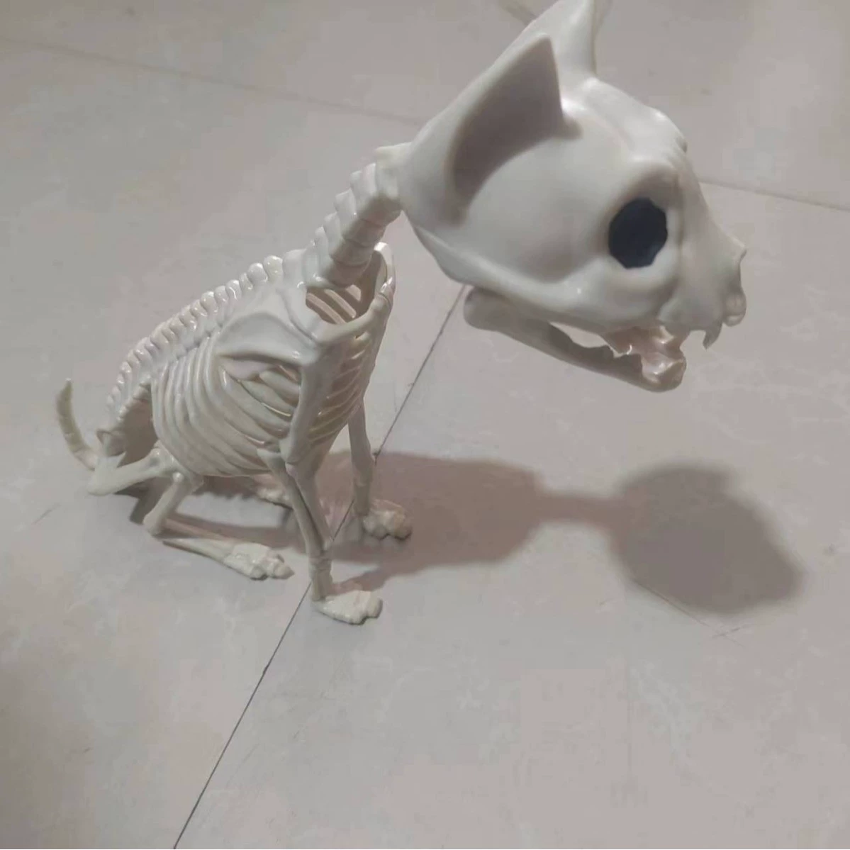 Skeleton, halloween, fighting