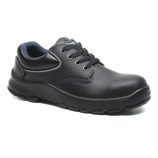 Acco (aegle) Fluorescent Terms Non-metal Safety Shoes PC Head, Insulated 60725103 10 Pairs/case