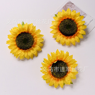 �������տ����^ DIY̫ꖻ��^�Gֲ�����c�赸���b�����b�����