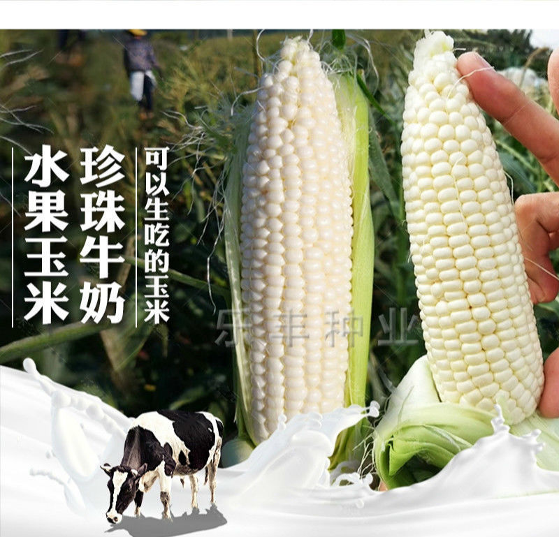 20242a16-787b-4d2c-9189-4fab3d