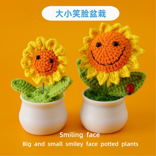 A Small Popular Gave a Small Gift at the Graduation Ceremony and Won the First Prize. Woolen Size Smiley Face Sunflower Potted Plant Shaker