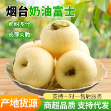 供应链批发直播代发山东烟台黄金奶油富士应整箱季新鲜水果苹果