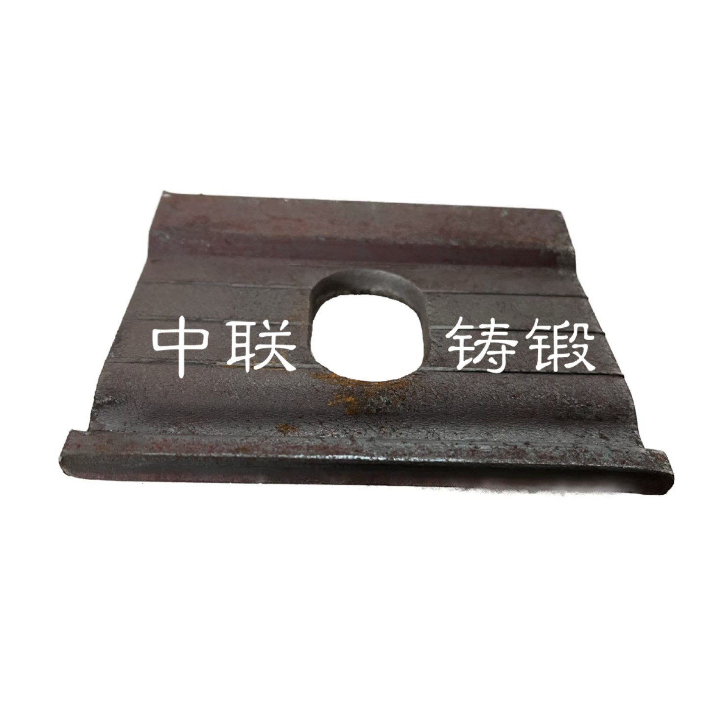 2025-03-13 11:31:52.jpg