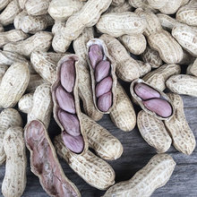 ���һ����B�����»���ˮ��������t��������ζ�������t�»���