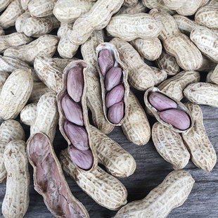 ���һ����B�����»���ˮ��������t��������ζ�������t�»���