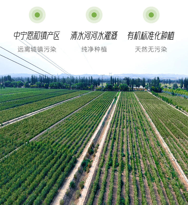 Organic Goji Berries Ningxia Premium Grade Unsulfured Dried Wolfberry Fruit 138g Jar quality and texture
