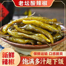 ��̳��������ʳ����΢�����������ݽ��ݲ˿�θ�·��̲��¾Ʋ�