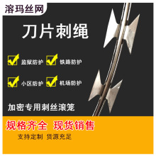 刀片刺绳 热镀锌防爬防盗刺绳镀锌铁蒺藜刺丝 围墙刺网防盗网厂家