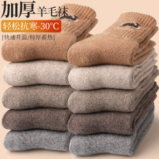 Cross-Border Hot Selling Socks Men's Autumn and Winter Animal Pattern Mid-Calf Socks Thickened Towel Bottom Non-Slip Sweat-Absorbent Sports Socks