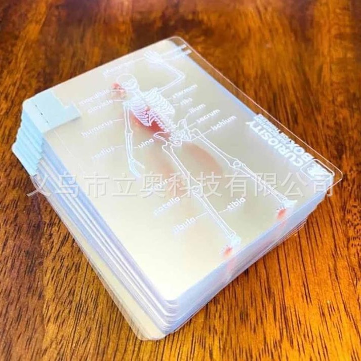 Fascinating transparent anatomy playing cards naipes anatomía transparente