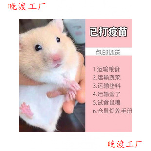 ���]С�}������Ѵ����繫��һ���y������С�����z���ͻ\��