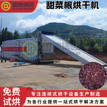 甜菜根网带烘干机 红甜菜根茎低温烘干线 果蔬脱水锁原色不氧化发