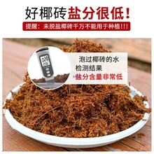 Ҭ�u�I�B���N��ͨ����Ó�}Ҭ����KҮ�u�����������B�������Nֲ��