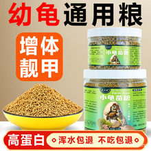 С�������ͨ�������Z�~���r���������������������w������ʳ��Z