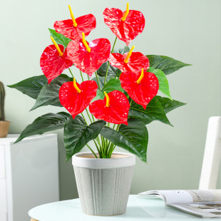 ����3�^6�^8�^��t��PU�ָ�����t�Ƽٻ��Gֲ�Ҿ�ܛ�b��������