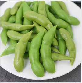 其他居家日用;食物工艺品;仿真果蔬/食物玩具