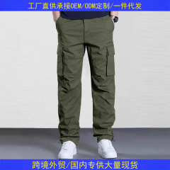 アマゾンは国境を越えて欧米のカジュアルな服装のズボンの男性の春夏の新型のアメリカの復古のストレートなズボンの百合のズボンの8631