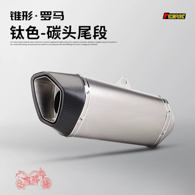 Exhaust pipe tail section modified SC exhaust - titanium-real-carbon-head