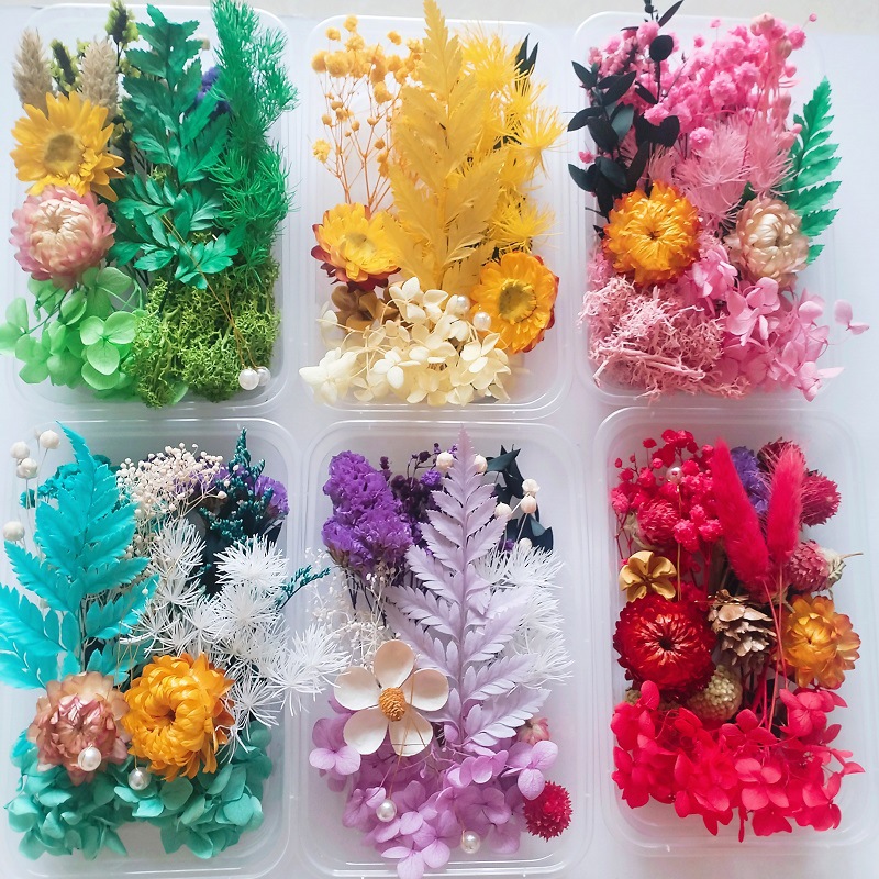 Kit de Materiales de Flores Secas Eternas DIY para Manualidades y Decoración Navideña