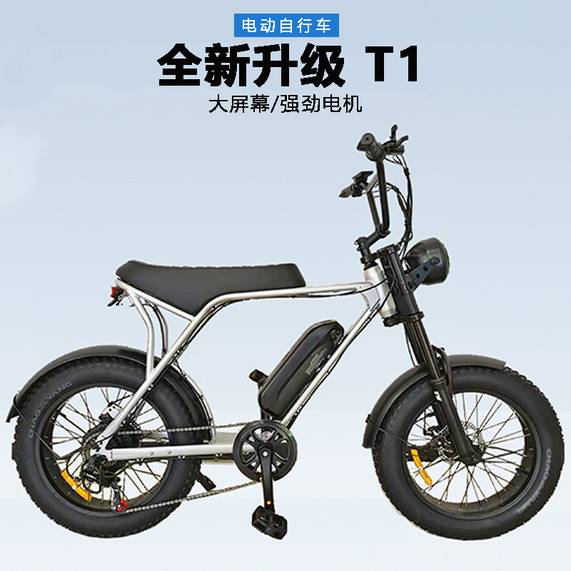 Comax Factory Direct Sale 20inch Snow Beach Transmission Bike Mountain Off-Road Fat Tire Electric Assist Bicycle
