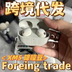【在庫あり】越境配送対応 WF-1000XM5 ノイズキャンセリング イヤホン インイヤー型 Bluetooth ヘッドホン 適用