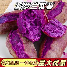 25��V�����_�m�������r������Ŵ�����r���ԷNɳ�����ļt��������