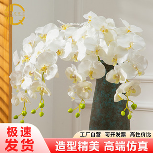 9�^�����m���滨�羳������滨���ٻ��廨��ˇ��������Ҿ��b�