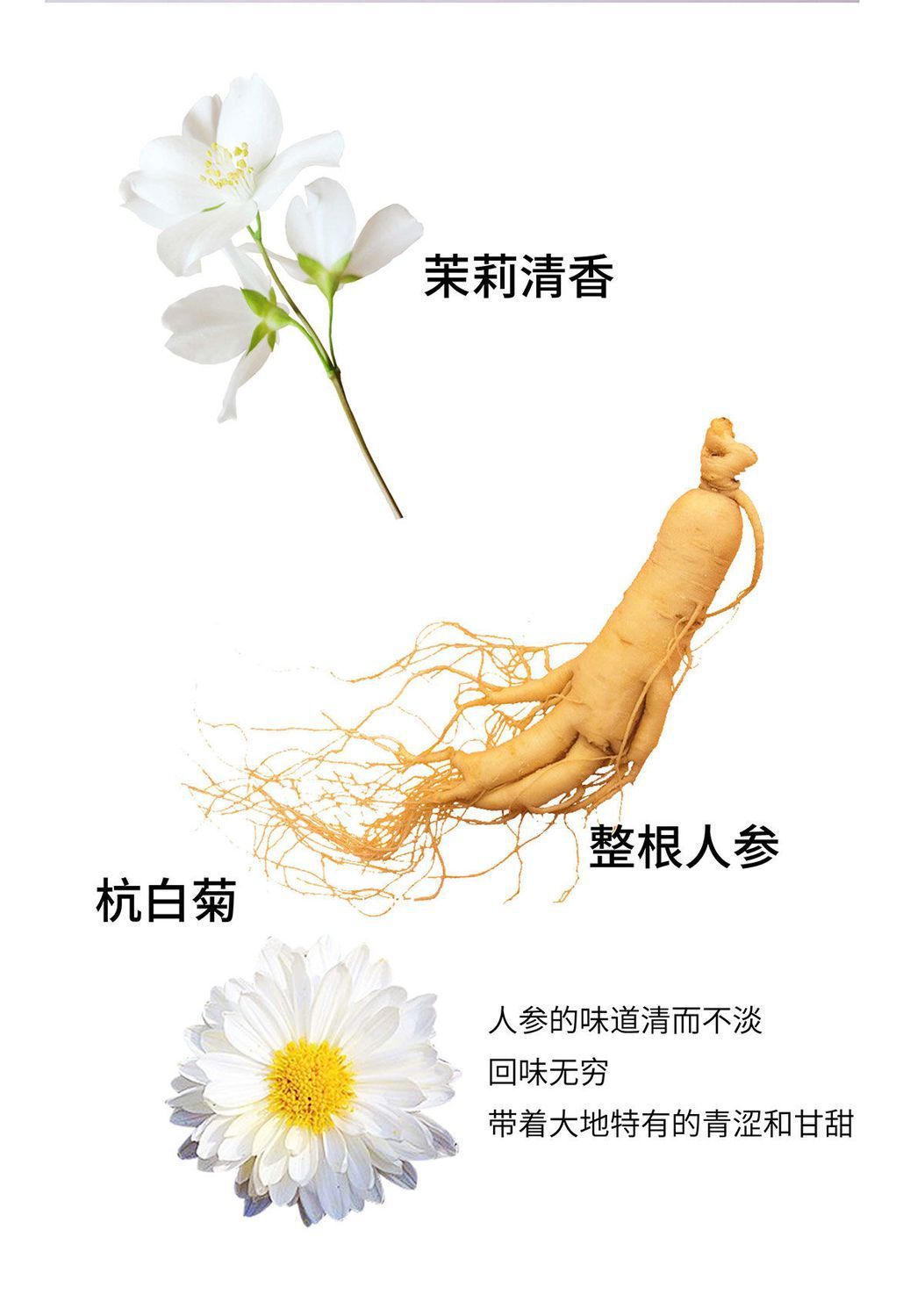 详情图片_1 (2).jpeg