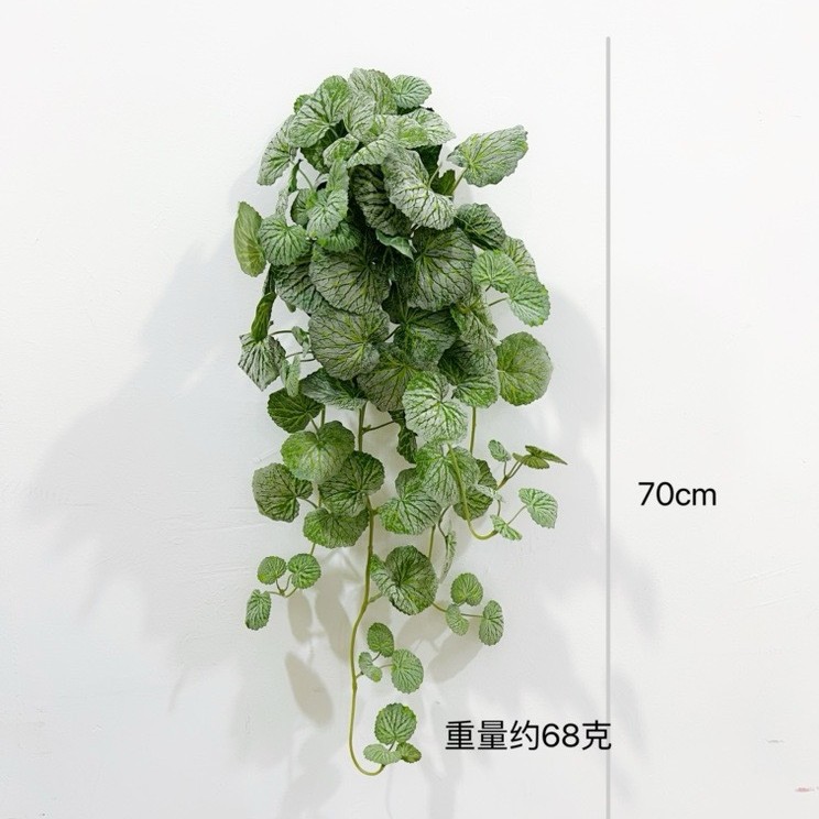 70cm 베고니아 벽 매달려 [녹색]]