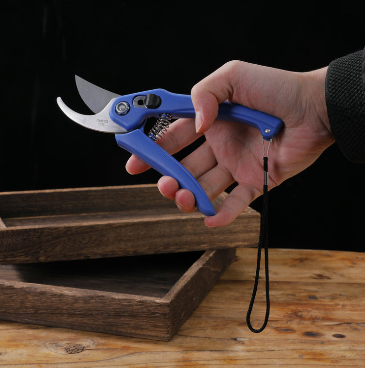 微信截图_20230519094428