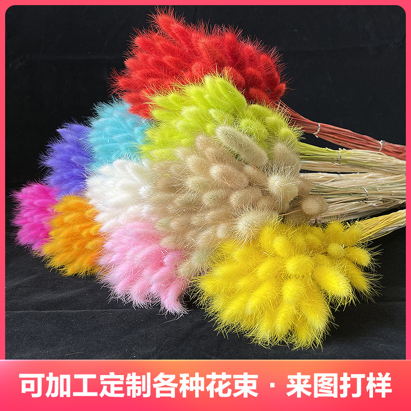 Rabbit Tail Dried Flower Bouquet Real Flower Immortal Flower Dog Tail Grass Rabbit Tail Grass Wholesale Home Decoration Photography Props