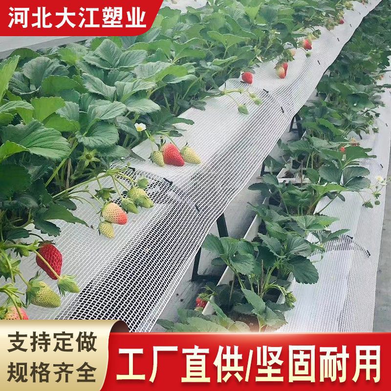 pvc水培管空心100*50工厂直销 pvc长方形管白色管子蔬菜管排水管